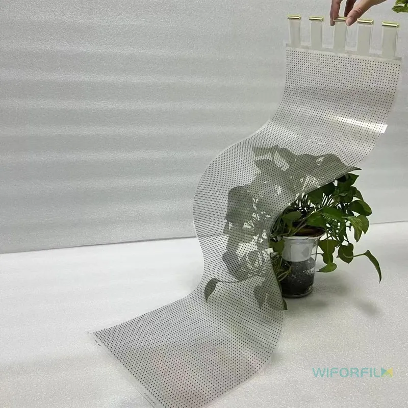 LED transparent film display screen